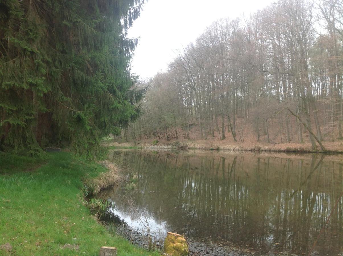 Gite Du Creux De La Goutte Xertigny Exterior foto